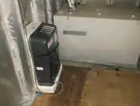 Veerboot te koop