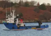 Werkboten te koop