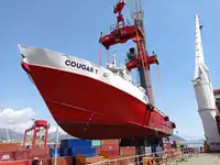 Containerschip te koop