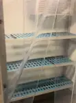Ro-Ro-veerboot te koop