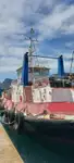 Sleepboot Te koop