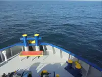 Koelschip te koop