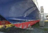 Catamaran te koop