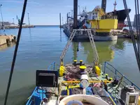 Sleepboot Te koop
