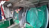 Levend vis transport schip te koop