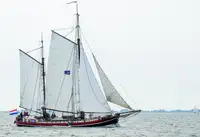 Bulkcarrier te koop