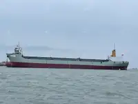 Containerschip Te koop