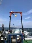Werkboten te koop