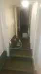 Ro-Ro-schip te koop