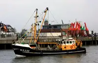 Trawler Te koop
