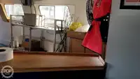 Catamaran te koop