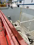 Werkboten te koop