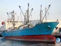 Koelschip te koop