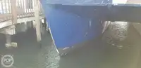 Catamaran te koop
