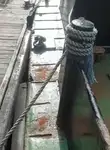 Werkboten te koop