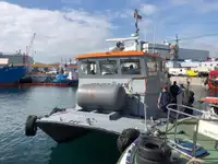 Catamaran te koop