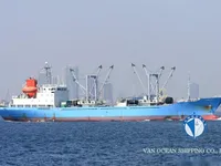 Koelschip te koop