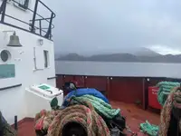 Sleepboot Te koop