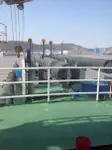 Baggeraarschip te koop