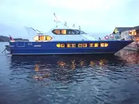 Veerboot Te koop
