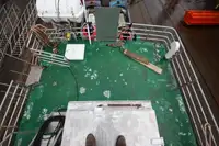 Veerboot te koop