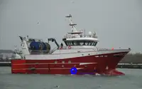 Purse-seine trawler te koop