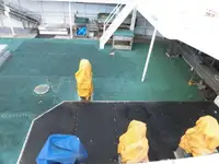 Trawler te koop