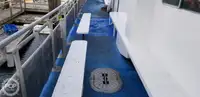 Catamaran te koop