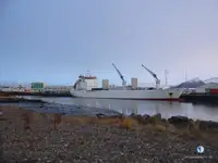 Koelschip te koop