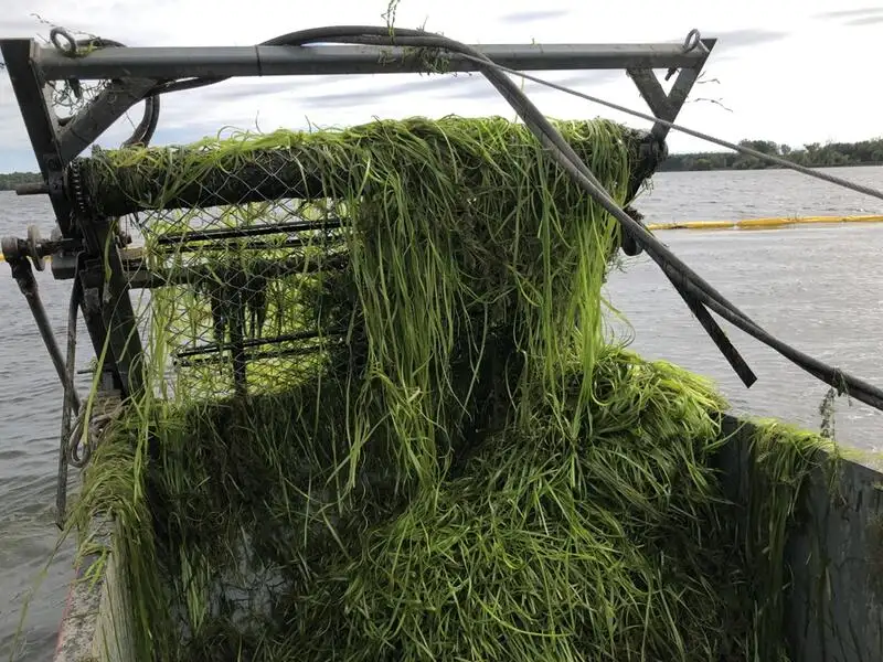 Tanker voor bilge water te koop