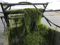 Tanker voor bilge water te koop