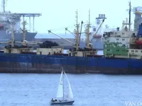Koelschip te koop