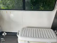 Catamaran te koop