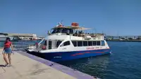 Catamaran Te koop