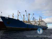 Koelschip te koop
