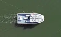 Catamaran te koop
