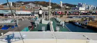 Ro-Ro-schip te koop
