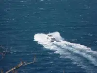 Veerboot te koop