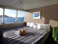 Catamaran te koop