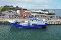 Trawler te koop