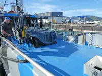 Veerboot te koop