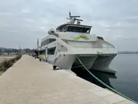 Catamaran Te koop
