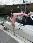 Lootsboot te koop