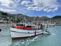 Trawler te koop