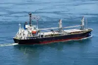 Vrachtschip Te koop