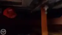 Trawler te koop