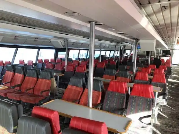 Catamaran te koop