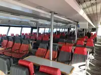 Catamaran te koop