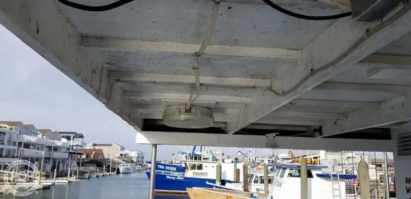 Catamaran te koop