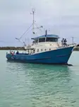 Trawler te koop